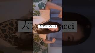 Wacci『大丈夫』〜手話歌〜 [upl. by Anidan]