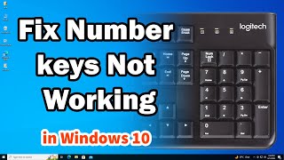 How to Fix Number Keys Not Working In Windows 10 PC or Laptop [upl. by Ennasil]