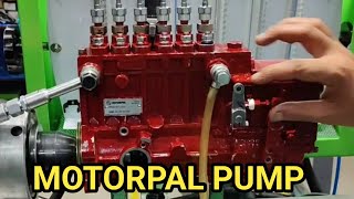 MOTORPAL PUMP TESTING  MOTORPAL INLINE PUMP TESTING  GENSET DIESEL PUMP TESTING [upl. by Bum]