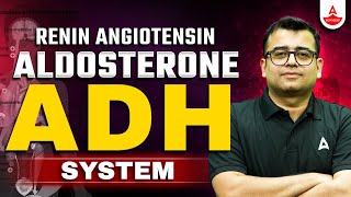 Renin Angiotensin Aldosterone System  NEET 2025  Antidiuretic Hormone ADH System  Nomesh Sir [upl. by Jack845]