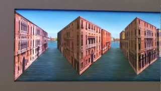 Vibrant Venice  Patrick Hughes Winsor Gallery PERSPECTIVARIATIONS [upl. by Onibag]