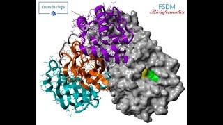 01 Docking molecular with Autodock الالتحام الجزيئي [upl. by Relyc326]