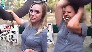 Instant Regret Compilation 10  Funny Fails [upl. by Quent]