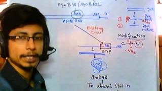 RNA editing mechanism [upl. by Adlaremse710]