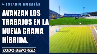 Buen avance En casi un 80 está el proceso de cosido de la grama híbrida del Estadio Morazán [upl. by Daveen]