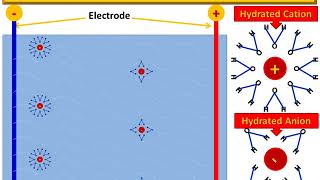 Electrophoretic Effect [upl. by Vani363]