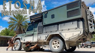 New paint job in Namibia  Ep282 [upl. by Beka]