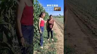 Jia Mier Funny Interesting and humorous rural stories Bring positive things to you every day 222 [upl. by Madelaine]