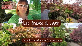 ERABLE DU JAPON 🍁 ENTRETIEN  Différentes VARIETES  Stéphane répond à toutes vos interrogations😉 [upl. by Hassett162]