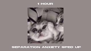 separation anxiety sped up  1 hour [upl. by Antoinetta]