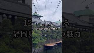 【12秒でわかる】静岡県観光、伊東市の魅力 shors [upl. by Zobkiw932]