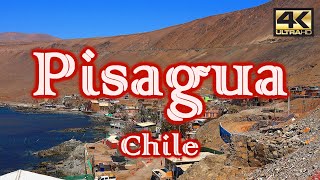 Turismo en PISAGUA – CHILE ¿Qué visitar 4K [upl. by Aicitel]