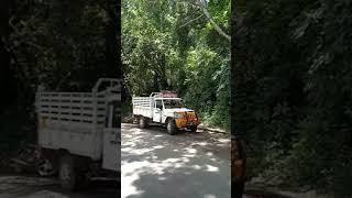 kolli hills drivings on road [upl. by Joliet]