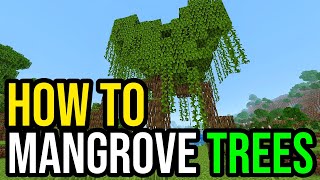 How To Grow amp Use Mangrove Trees In Minecraft [upl. by Marilyn773]