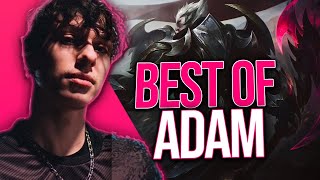 ADAM quotPRINCE DE LA TOPLANEquot Montage  Best of ADAM Stream Highlights [upl. by Ronnie]