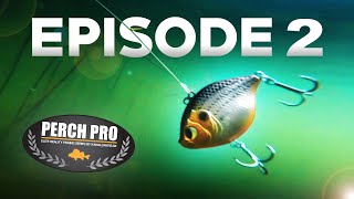 PERCH PRO 7  Episode 2 [upl. by Vernita]