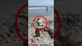 La gente en la playa no lo podían creer 🤯😂 [upl. by Hewe]