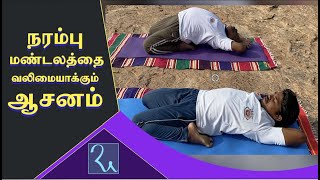 நரம்பு மண்டலம் வலுப்பெற செய்யும் ஆசனம்  Supta Vajrasanam Benefits  Aathma Yoga  Ra Media [upl. by Nitza]