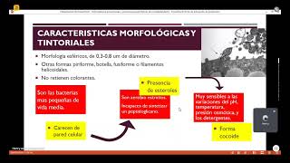 Mycoplasma pneumoniae Dr Chura2005 [upl. by Eidnahs]