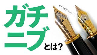 【万年筆】みんなで選ぶガチニブと言えばコレ！！あなたの最強のガチニブはどれ？？ [upl. by Anetsirhc]