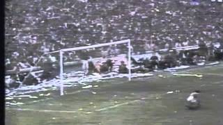 Avalancha en gol de Perotti a Ferro 1981 [upl. by Enawtna18]