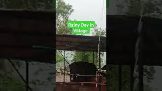 Rainy Season in Pakistan villagesToday Rain in my Village rainyday [upl. by Finnegan872]