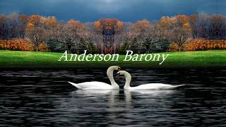 Anderson Barony  Folha secaLetra [upl. by Merrel]