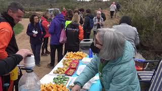 Caminada marxa per la vinya del Celler Clos Pons Albagés Lleida 2022 [upl. by Enyrehtak]