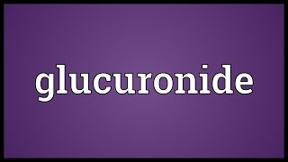 Glucuronide Meaning [upl. by Ergener]