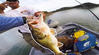 THE BIGGEST BASS OF MY LIFE  19LBS IN 2 CASTS [upl. by Stalk]