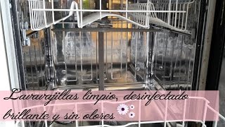 ¿Tu lavavajillas no limpia bien ¡Necesita una limpieza  Cómo limpiar el lavavajillas [upl. by Imik]