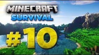 Minecraft survival ep  10  THE END [upl. by Linnea]