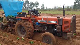 Agrale 4300 plantando batata sem motorista [upl. by Behnken]