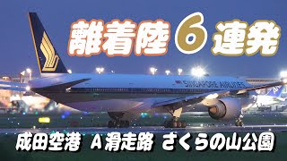 【4K】成田空港 さくらの山公園 空港に離着陸する飛行機６連発 [upl. by Cirre]