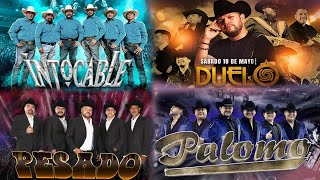 MIX PESADO INTOCABLE PALOMO DUELO  PUROS CORRIDOS PESADOS PA PISTEAR  LOS MEJORES EXITOS [upl. by Jacobina638]