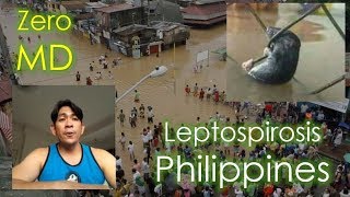 Leptospirosis Guidelines in the Philippines Education and Management Strategies by DOH [upl. by Ahsael]