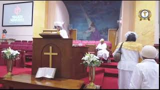 United Missionary Baptist Association Live Stream [upl. by Akihc]