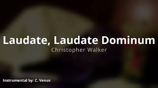 Laudate Laudate Dominum basic orchestration Instrumental [upl. by Eilloh]