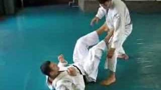 Gracie Insider October 2006 Technique of Month  Hook Sweep [upl. by Aremihc]