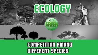 18 Ecology  Competition Among Different Species  Outcomes of InterSpecific Competition Part 1 [upl. by Elleral]