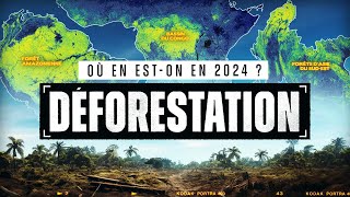 Comprendre la DÉFORESTATION en 2024 en 15 min [upl. by Yotal857]