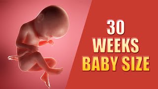 30 Weeks Pregnant Baby Position – Baby Moving and Weight in Size [upl. by Ylicic465]