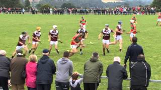 Wexford GAA TV I U21 Wexford Premier Hurling final from 2014 [upl. by Elane960]