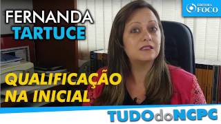 Qualificação detalhada das partes na petição inicial  Professora Fernanda Tartuce [upl. by Murry755]