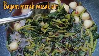 resepi sayur bayam merah masak air  sayur bayam masak bening [upl. by Deehahs]