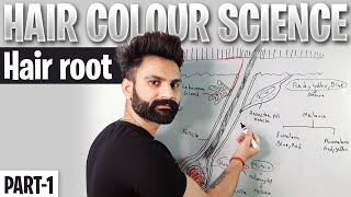 Hair Color Science  PART1  Hair Color Theory In Hindi  Hair Root  Melanin Pigments [upl. by Cirde]