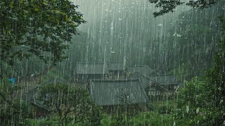 Pluie Relaxante pour Dormir en 11 Minute  Bruit de Pluie dans une Forêt Brumeuse pour Dormir ASMR [upl. by Amando]