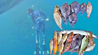 SPEARFISHING WITH THE GREAT NASALINKS  FISHING TRIP 🇯🇲 [upl. by Vince997]