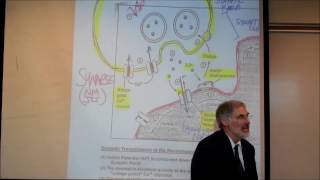 PHYSIOLOGY THE NEUROMUSCULAR JUNCTION by Professor Fink [upl. by Codd933]