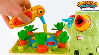 Best Toy Learning Video for Toddlers and Kids  Learn Colors and Counting in the Garden [upl. by Nyloj983]